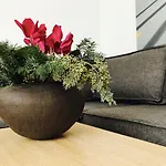 Design Apartment In Park