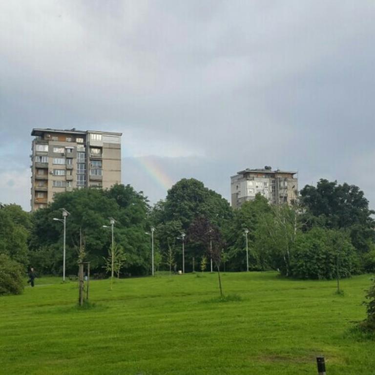 Design In Park *