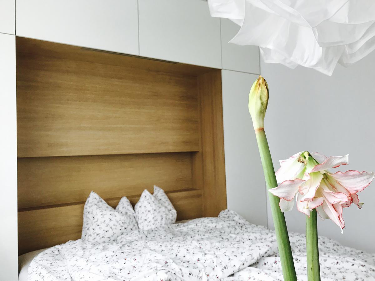 Design In Park Apartment