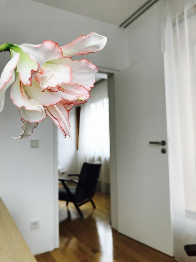 Apartment Design In Park